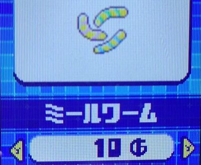 ミールワーム