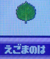 えごまのは