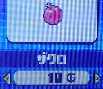 ザクロ