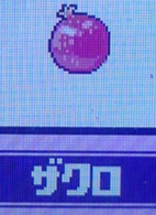 ザクロ