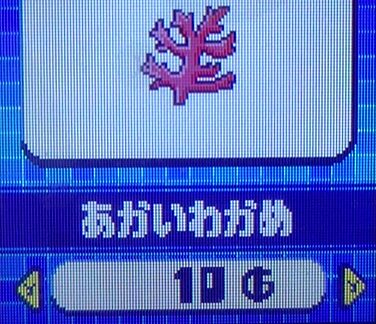 あかいわかめ