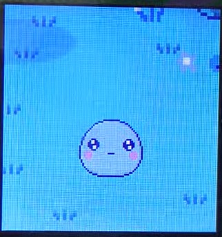 【りく】たちゅっちとこどらこっちでブリードベビー期