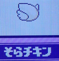 そらチキン
