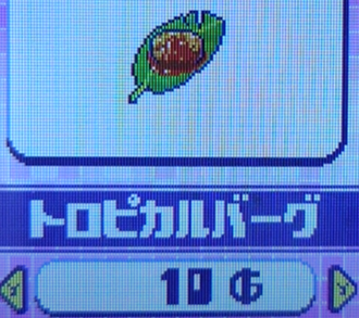 トロピカルバーグ