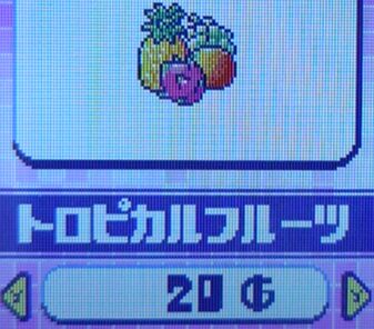 トロピカルフルーツ