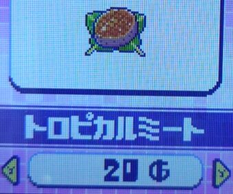 トロピカルミート