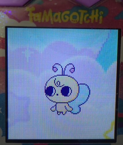 【そら】まぐまっちとまめっちでブリードした【アダルト期】ぱぴよっち