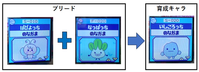 【そら】ぱぴよっちとなっぱっちでブリード【アダルト期】いしころっち5