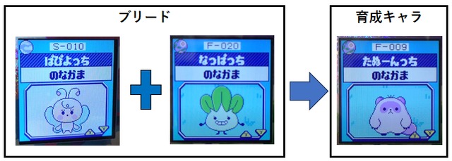 【もり】ぱぴよっちとなっぱっちでブリード【アダルト期】たぬーんっち5