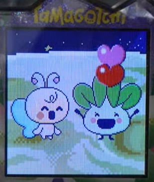 【そら】ぱぴよっちとなっぱっちでブリード