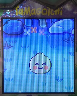 【もり】ぱぴよっちとなっぱっちでブリード【キッズ期】