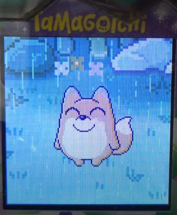 konmamecchi2