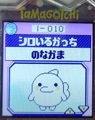 L-010シロいるかっち