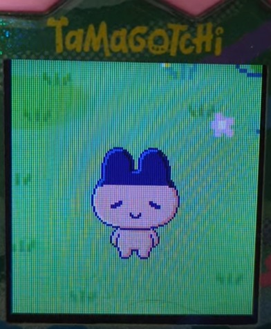 magumametchi2