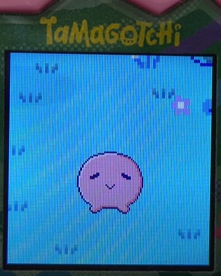 magumametchi3