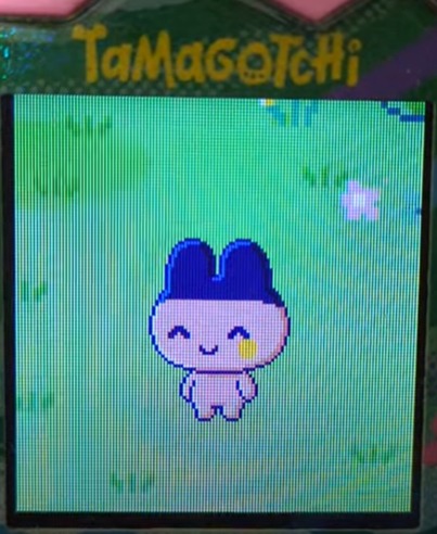 magumametchi