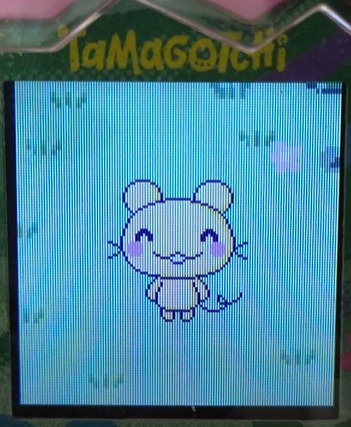 mameracchi2