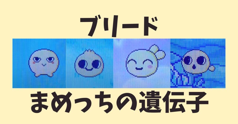 まめっちの遺伝子