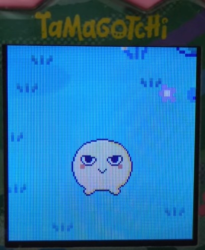 【りく】まめっちとしいたけっちでブリードした【キッズ期】