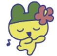 なんごくまめっち