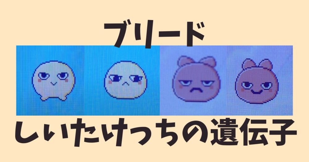 しいたけっちの遺伝子