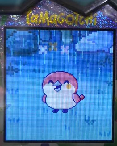 【もり】まぐまっちとしいたけっちとブリードした【アダルト期】すぱろっち6