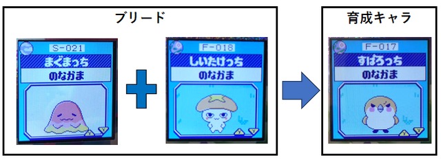 【もり】まぐまっちとしいたけっちとブリードした【アダルト期】すぱろっち7