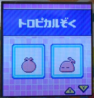T-001トロピカルぞく