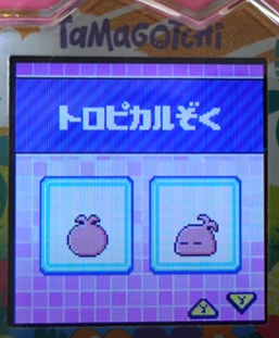 T-001トロピカルぞく
