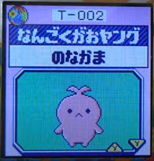 T-002なんごくがおヤング