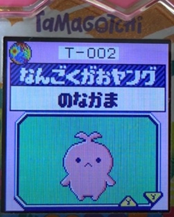 T-002なんごくがおヤング