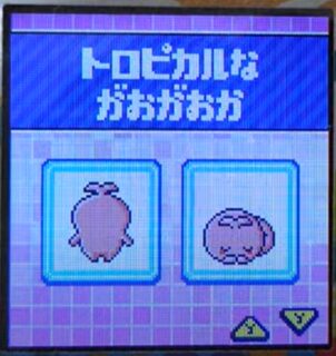 T-002トロピカルながおがおか
