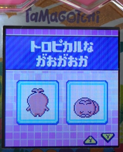 T-002トロピカルながおがおか