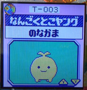 T-003なんごくとこヤング