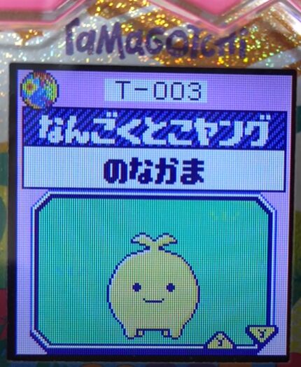 T-003なんごくとこヤング