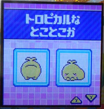 T-003トロピカルなとことこか