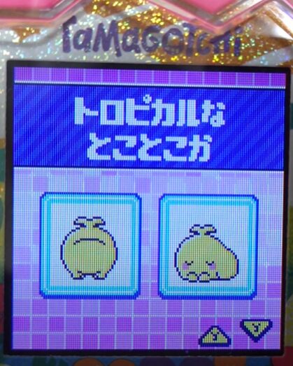 T-003トロピカルなとことこか