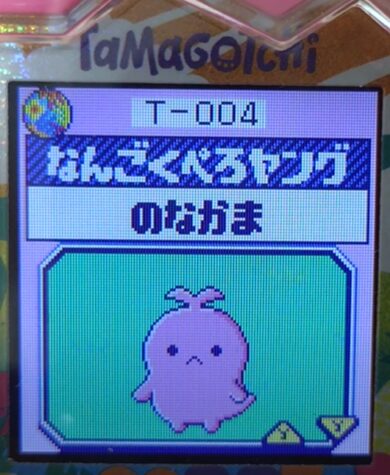 T-004なんごくぺろヤング