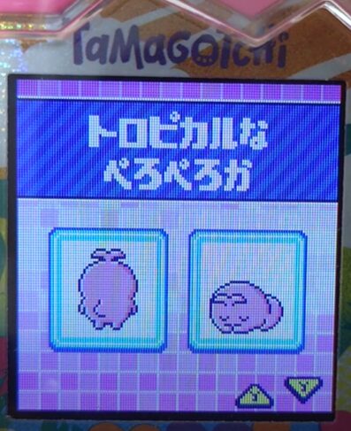 T-004トロピカルなぺろぺろか