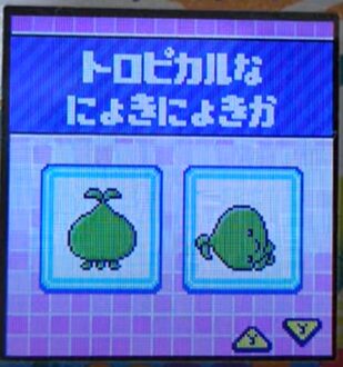 T-002トロピカルなにょきにょきか
