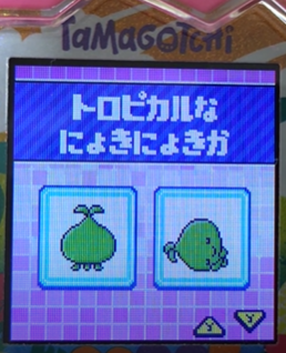 T-005トロピカルなにょきにょきか