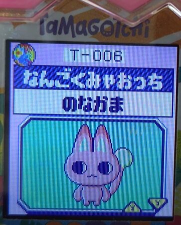 T-006なんごくみゃおっち