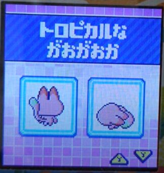 T-006トロピカルながおがおか