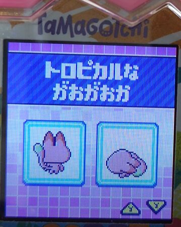 T-006トロピカルながおがおか