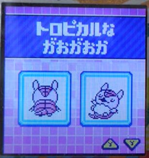 T-007トロピカルながおがおか
