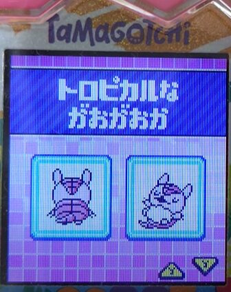 T-007トロピカルながおがおか