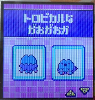 T-008トロピカルながおがおか