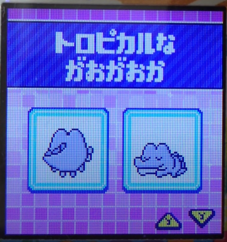 T-009トロピカルながおがおか