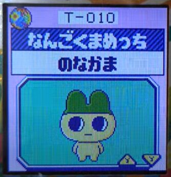 T-010なんごくまめっち