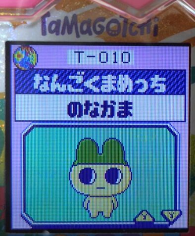 T-010なんごくまめっち